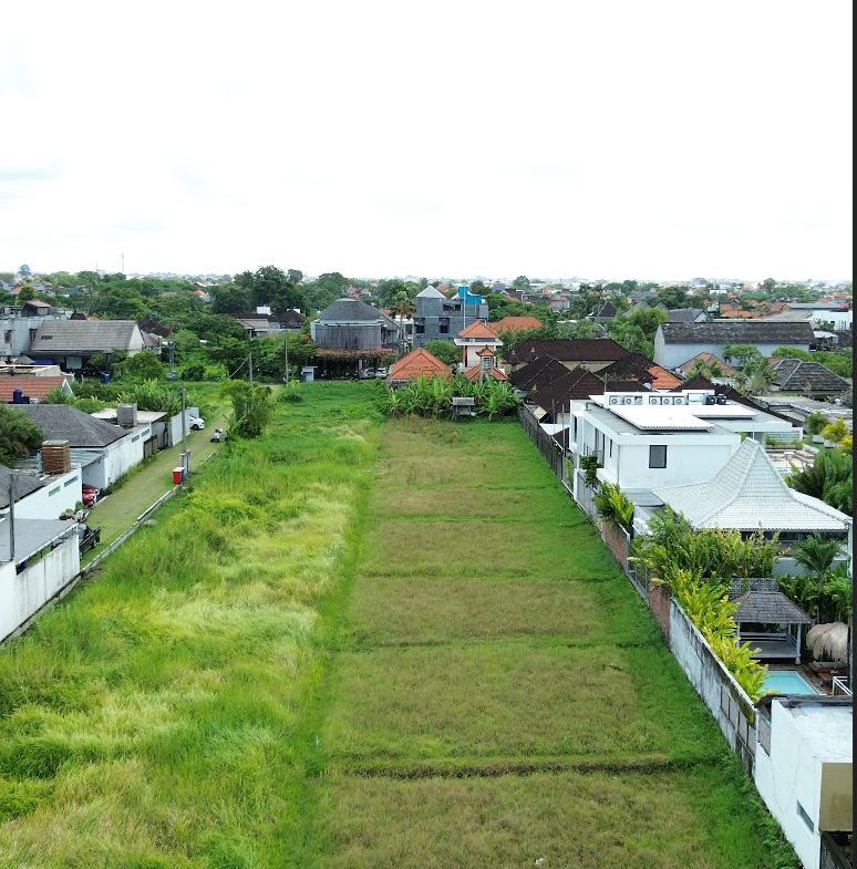 WhatsApp Image 2026 02 18 at 12.03.30 (1)