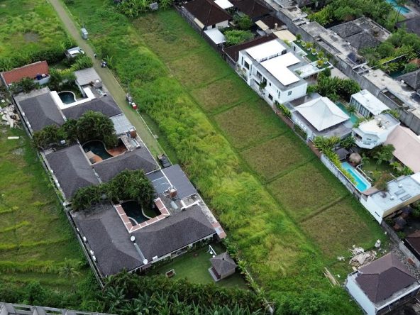 WhatsApp Image 2026 02 18 at 12.03.30