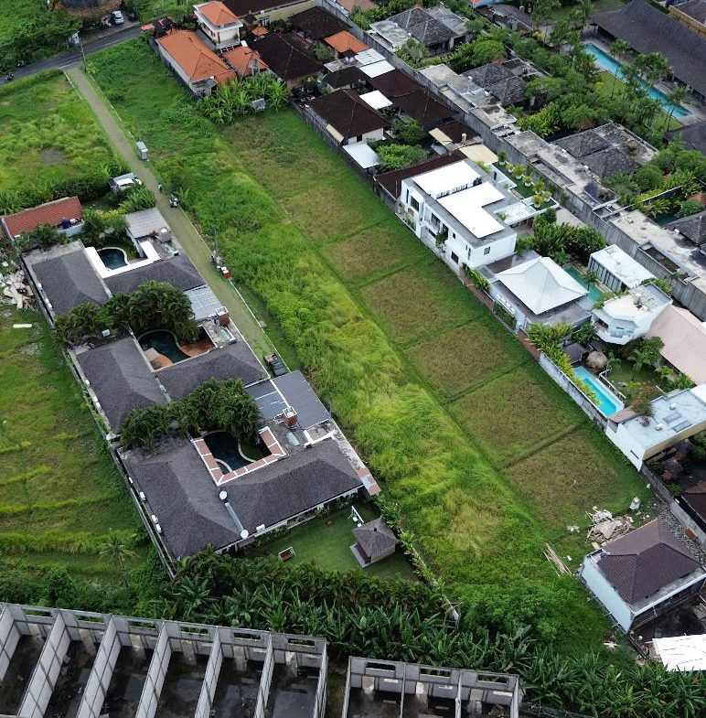 WhatsApp Image 2026 02 18 at 12.03.30