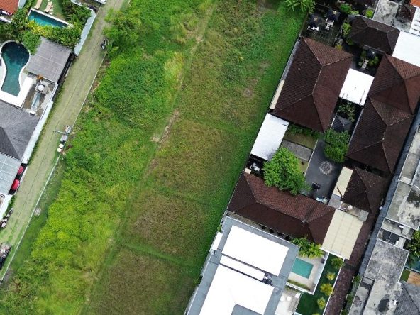 WhatsApp Image 2026 02 18 at 12.03.32