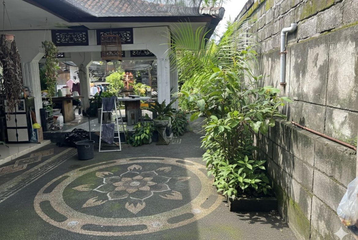 WhatsApp Image 2026 02 18 at 18.34.28 (1)