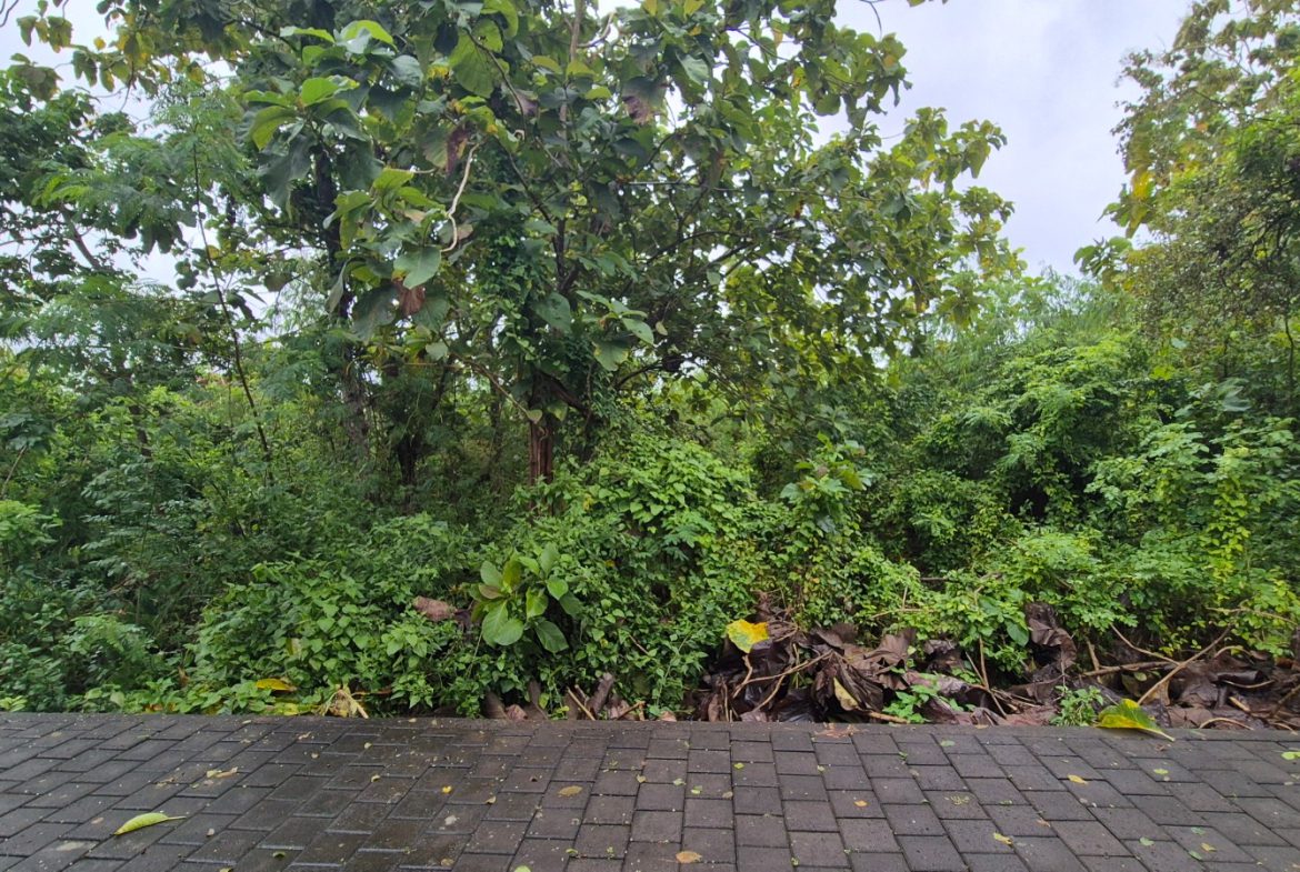 WhatsApp Image 2026 02 24 at 20.19.29 (1)