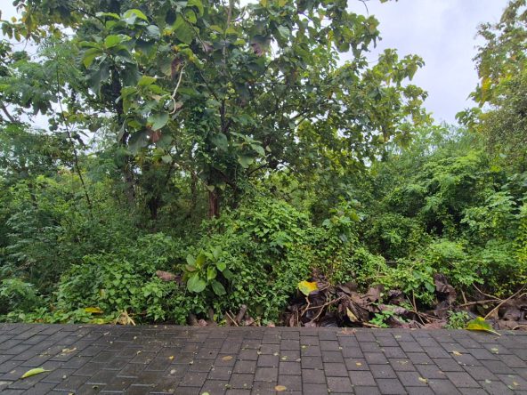 WhatsApp Image 2026 02 24 at 20.19.29 (1)