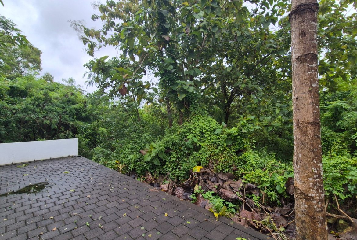 WhatsApp Image 2026 02 24 at 20.19.29