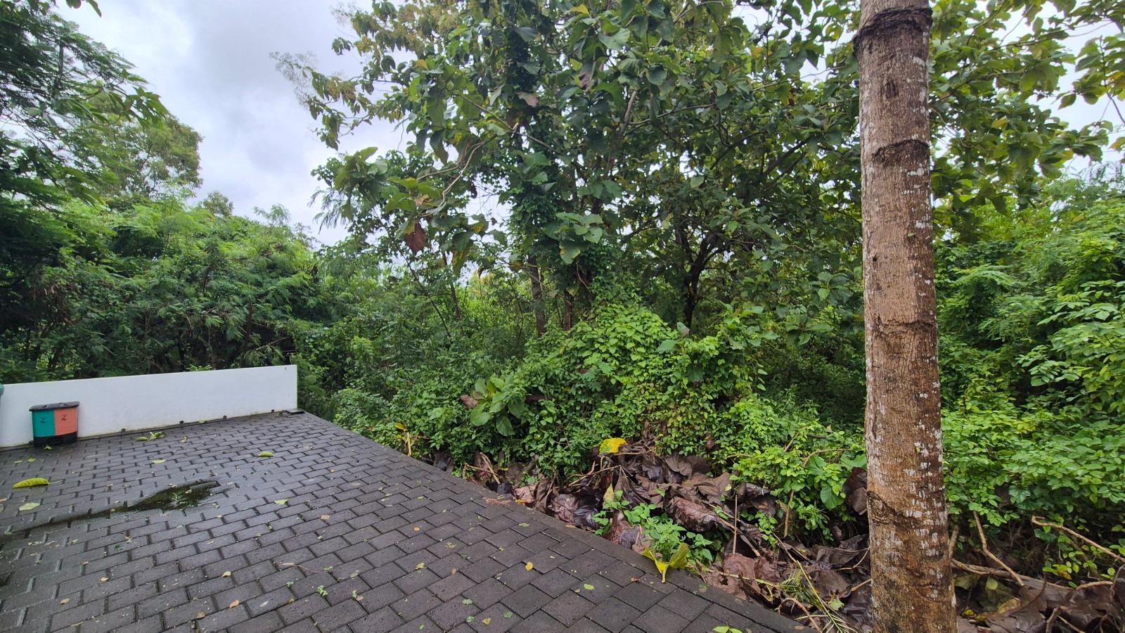 WhatsApp Image 2026 02 24 at 20.19.29