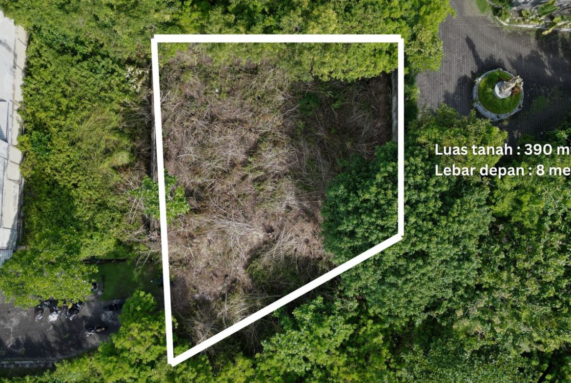 WhatsApp Image 2026 02 25 at 10.04.57 (1)