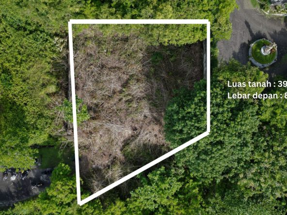 WhatsApp Image 2026 02 25 at 10.04.57 (1)