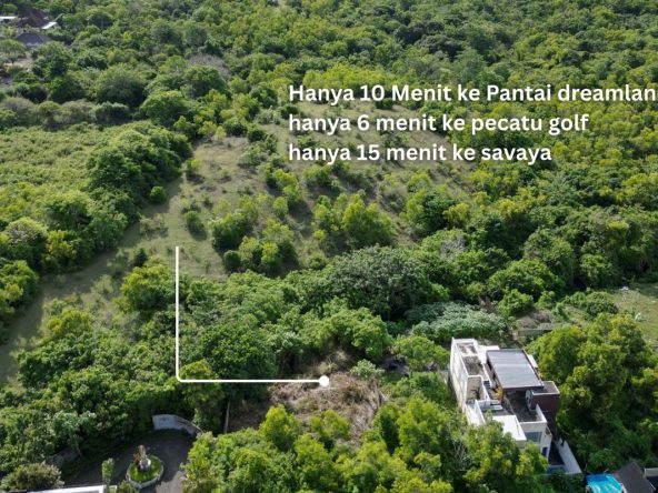 WhatsApp Image 2026 02 25 at 10.04.57 (3)