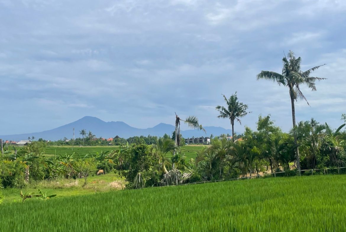 WhatsApp Image 2026 02 28 at 10.13.21 (2)