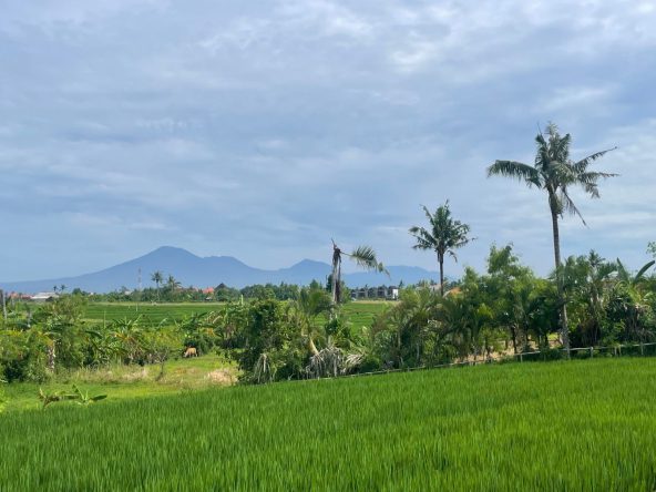 WhatsApp Image 2026 02 28 at 10.13.21 (2)