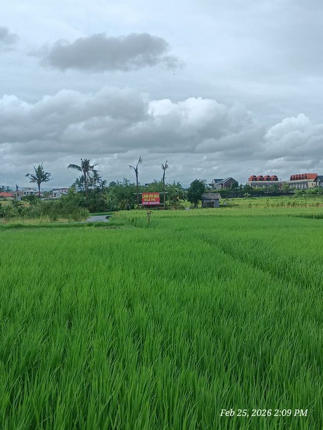 WhatsApp Image 2026 02 28 at 10.13.22