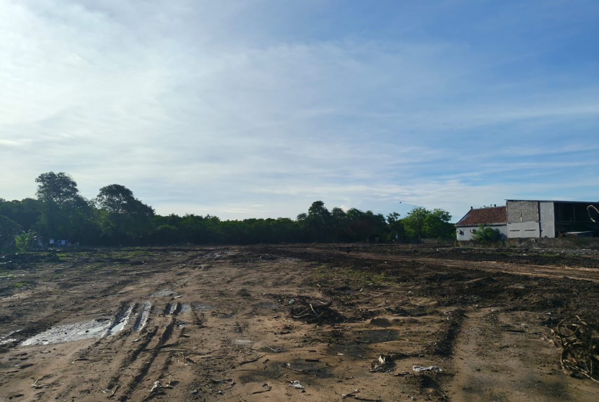 WhatsApp Image 2026 03 02 at 16.29.51