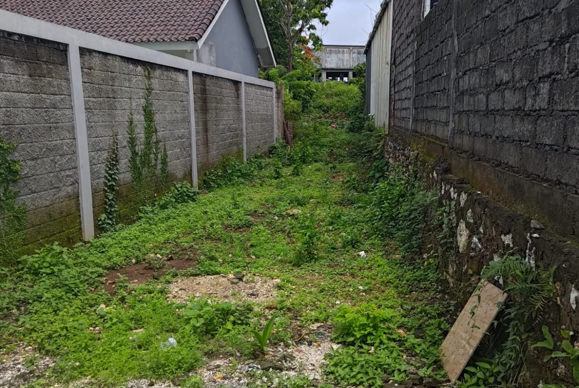 WhatsApp Image 2026 03 02 at 17.31.38 (2)