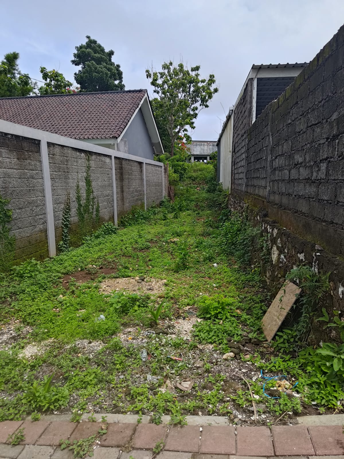 WhatsApp Image 2026 03 02 at 17.31.38 (2)