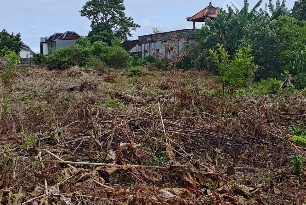 WhatsApp Image 2026 03 02 at 17.31.39 (1)