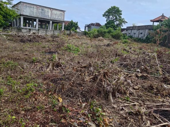 WhatsApp Image 2026 03 02 at 17.31.39