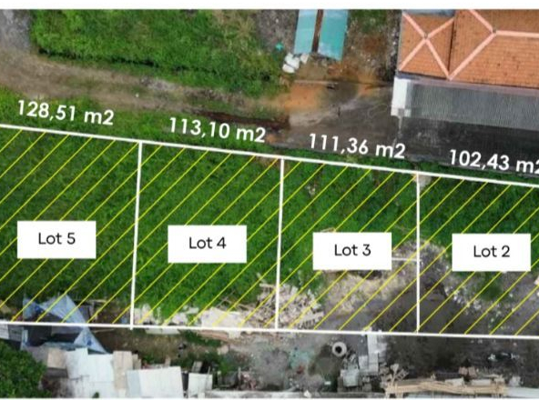 WhatsApp Image 2026 03 04 at 12.43.05