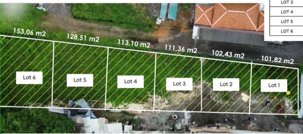 WhatsApp Image 2026 03 04 at 12.43.05