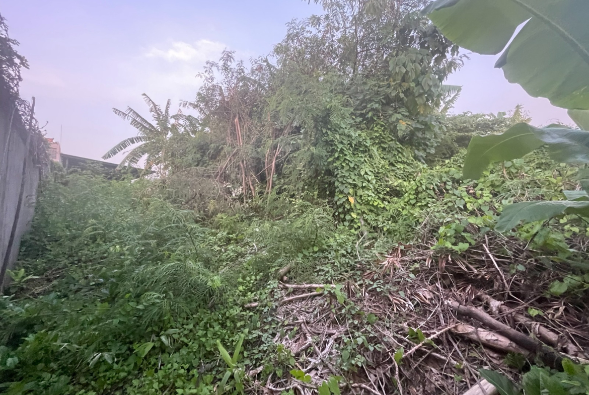 WhatsApp Image 2026 03 31 at 11.13.00 (1)