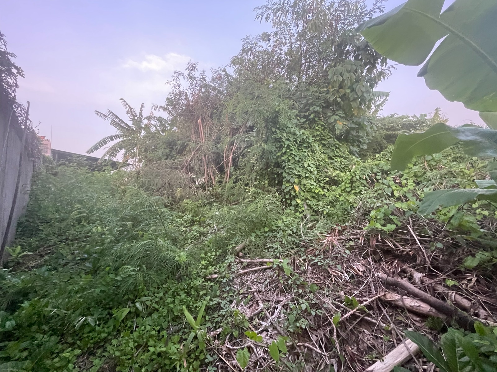 WhatsApp Image 2026 03 31 at 11.13.00 (1)