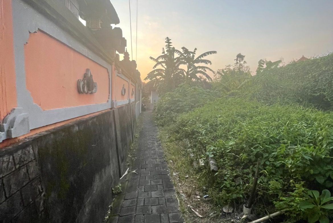 WhatsApp Image 2026 03 31 at 11.13.00 (2)