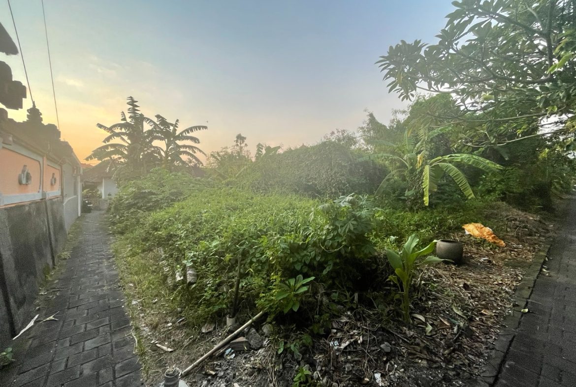 WhatsApp Image 2026 03 31 at 11.13.00 (3)