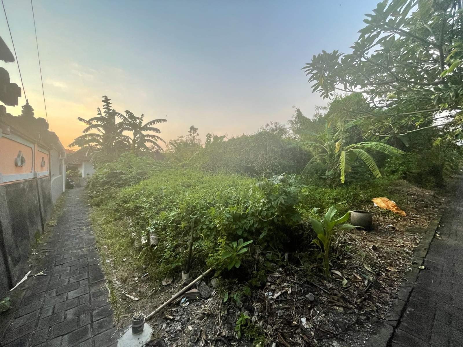 WhatsApp Image 2026 03 31 at 11.13.00 (3)