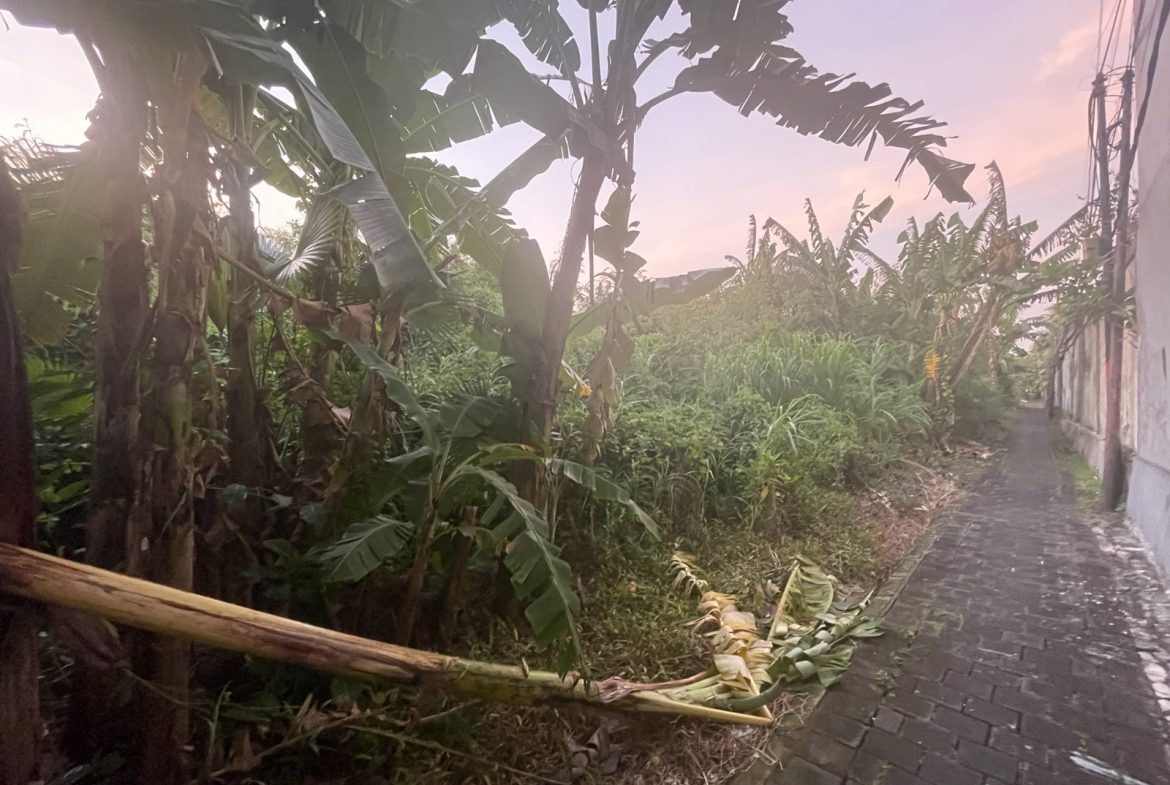 WhatsApp Image 2026 03 31 at 11.13.00 (5)