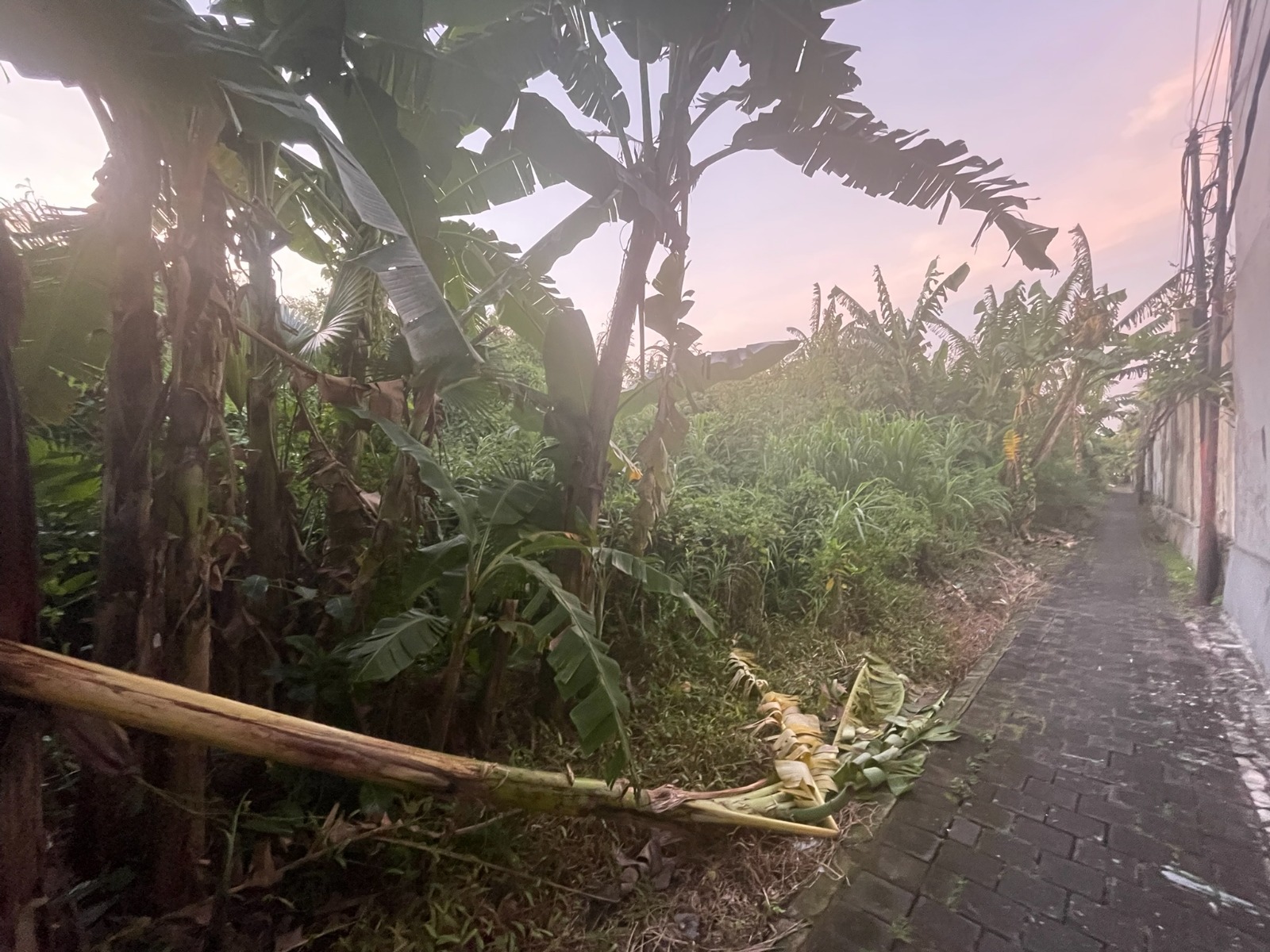 WhatsApp Image 2026 03 31 at 11.13.00 (5)