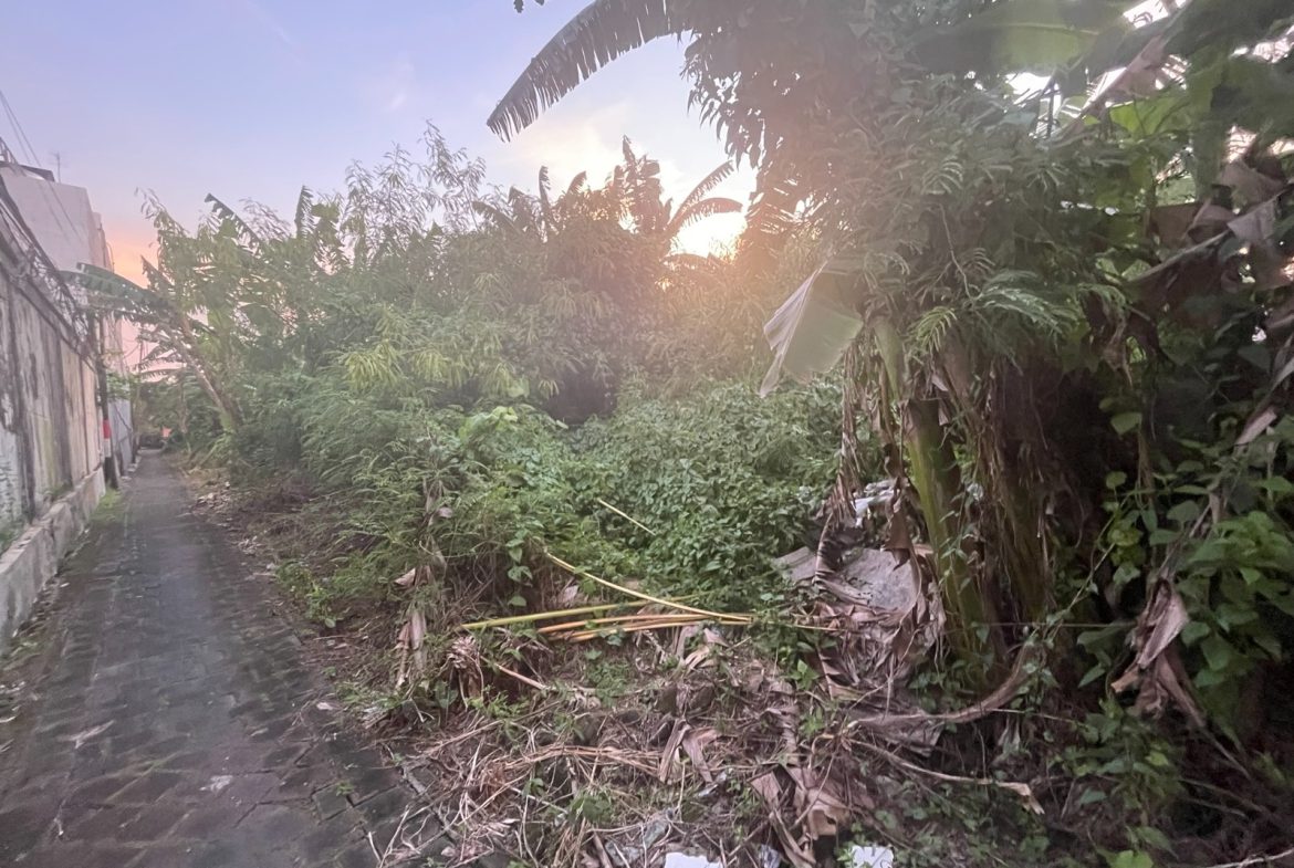 WhatsApp Image 2026 03 31 at 11.13.00 (6)