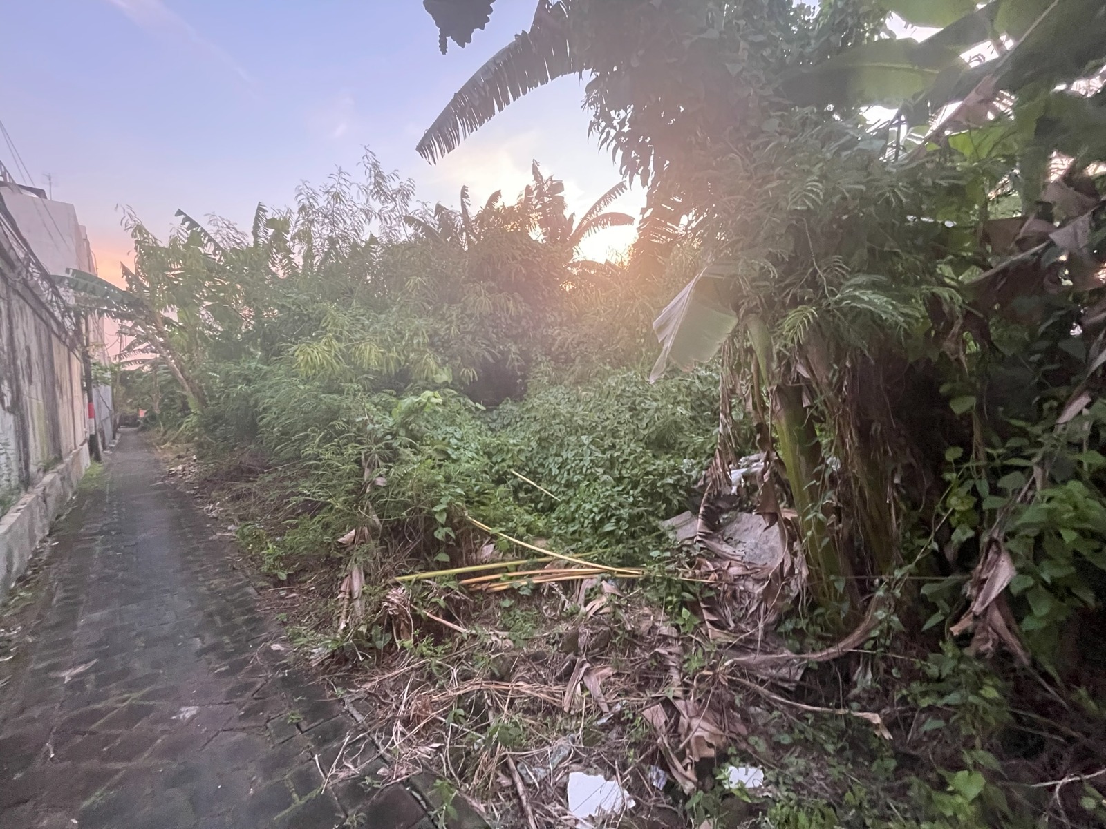 WhatsApp Image 2026 03 31 at 11.13.00 (6)