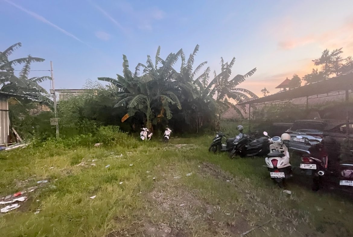 WhatsApp Image 2026 03 31 at 11.13.01 (1)