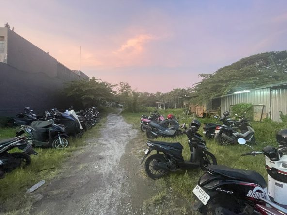 WhatsApp Image 2026 03 31 at 11.13.01