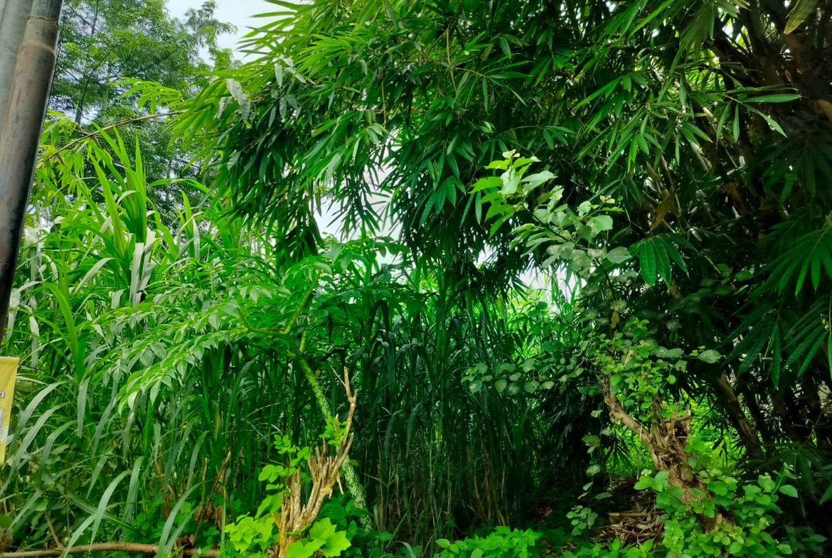 WhatsApp Image 2026 03 31 at 11.26.33 (1)