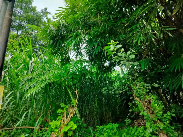 WhatsApp Image 2026 03 31 at 11.26.33 (1)