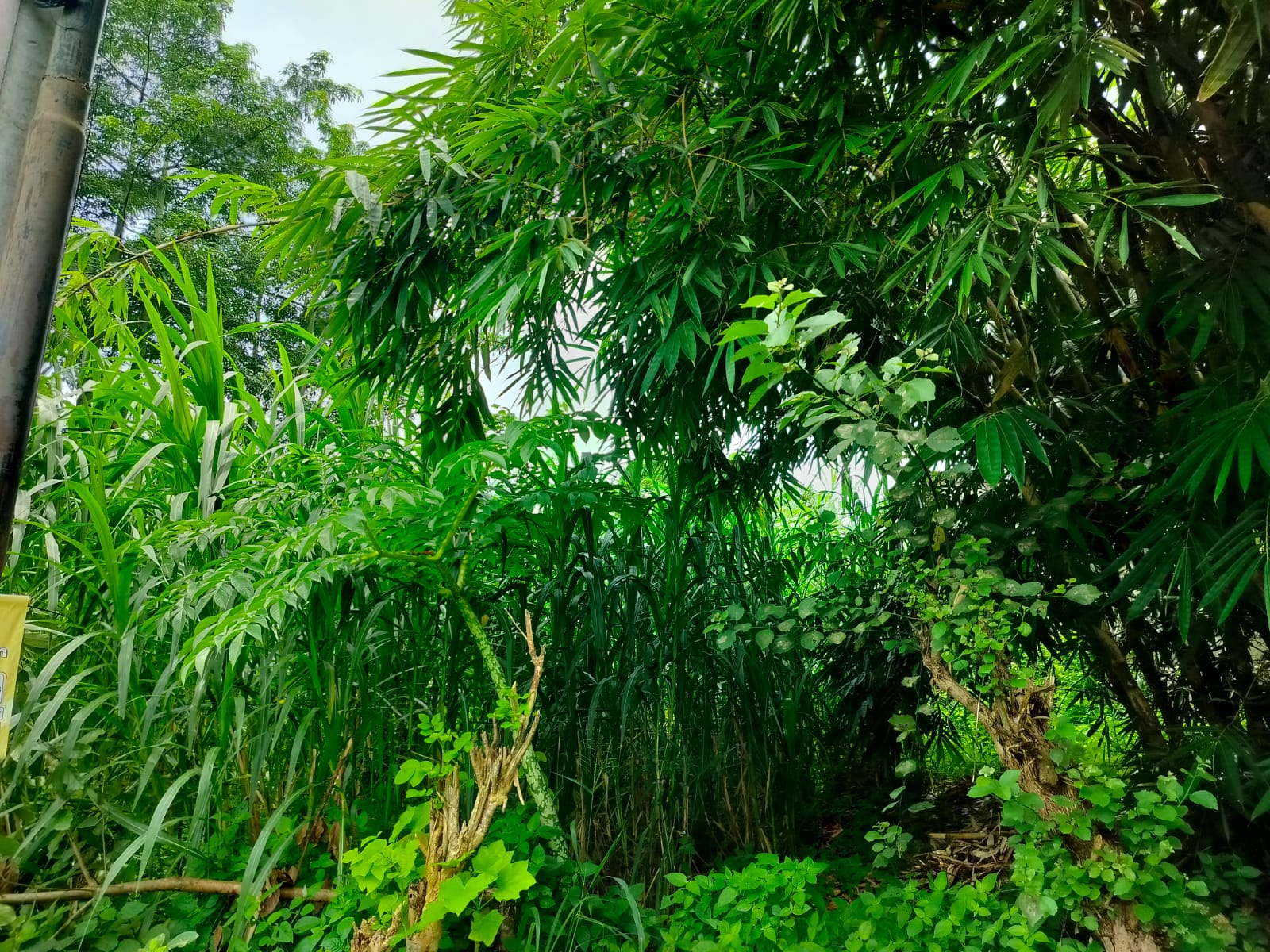 WhatsApp Image 2026 03 31 at 11.26.33 (1)