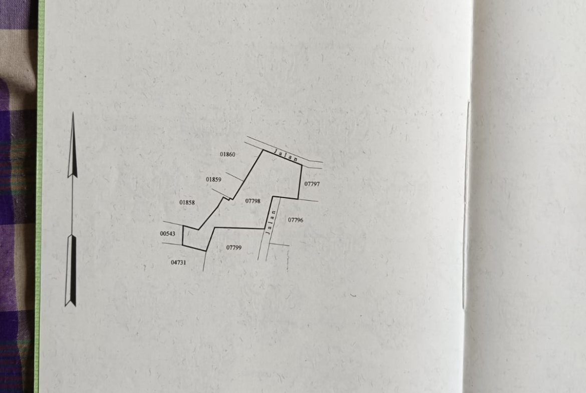 WhatsApp Image 2026 03 31 at 11.26.34 (2)