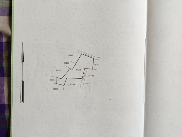 WhatsApp Image 2026 03 31 at 11.26.34 (2)