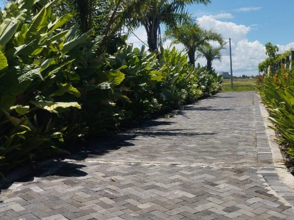 WhatsApp Image 2026 04 01 at 09.25.46 (1)