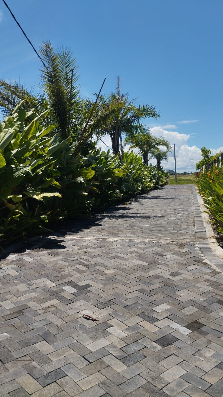 WhatsApp Image 2026 04 01 at 09.25.46 (1)