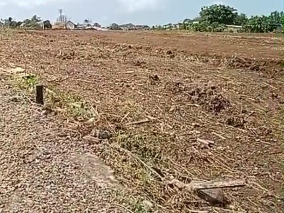 WhatsApp Image 2026 04 13 at 11.51.12