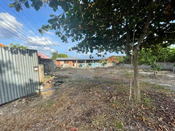 WhatsApp Image 2026 04 26 at 15.36.47 (1)