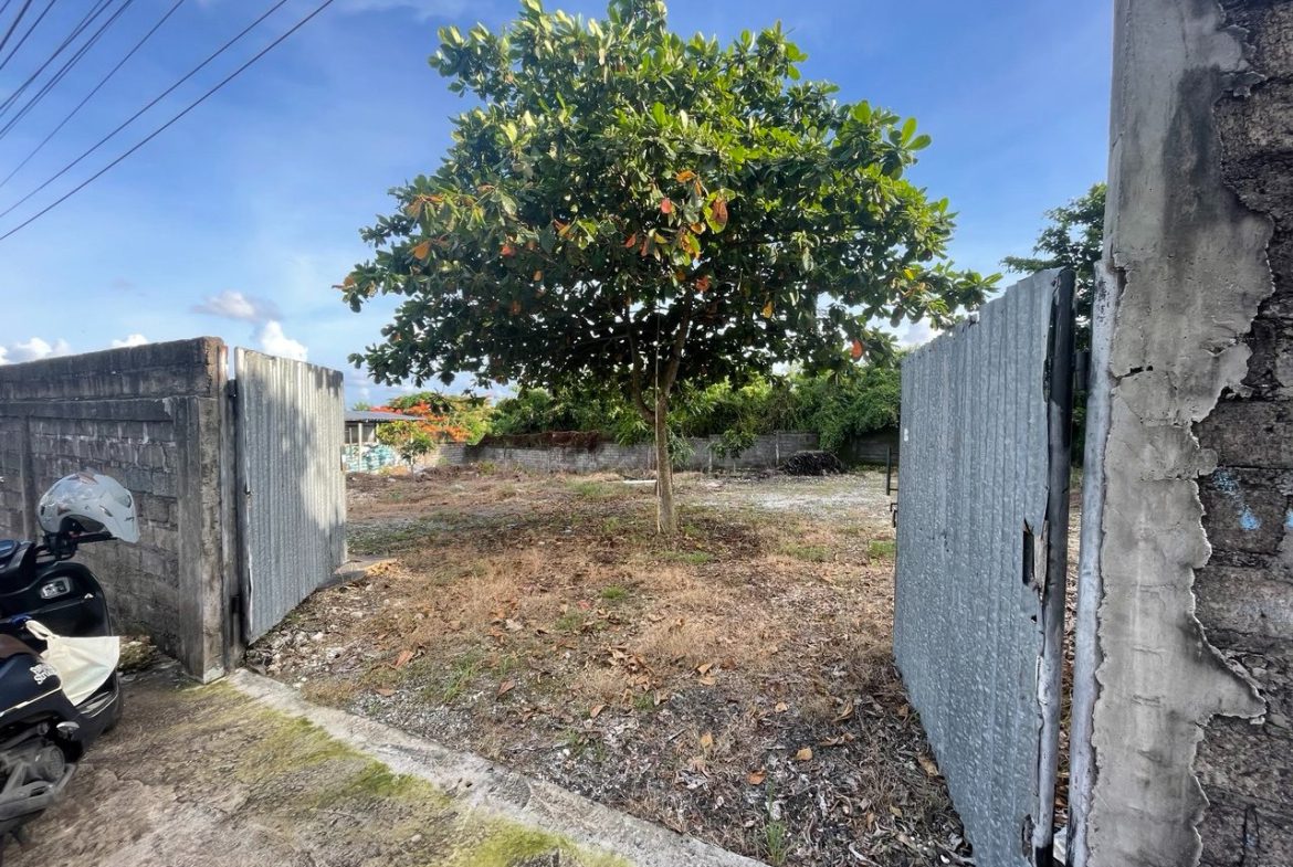 WhatsApp Image 2026 04 26 at 15.36.47