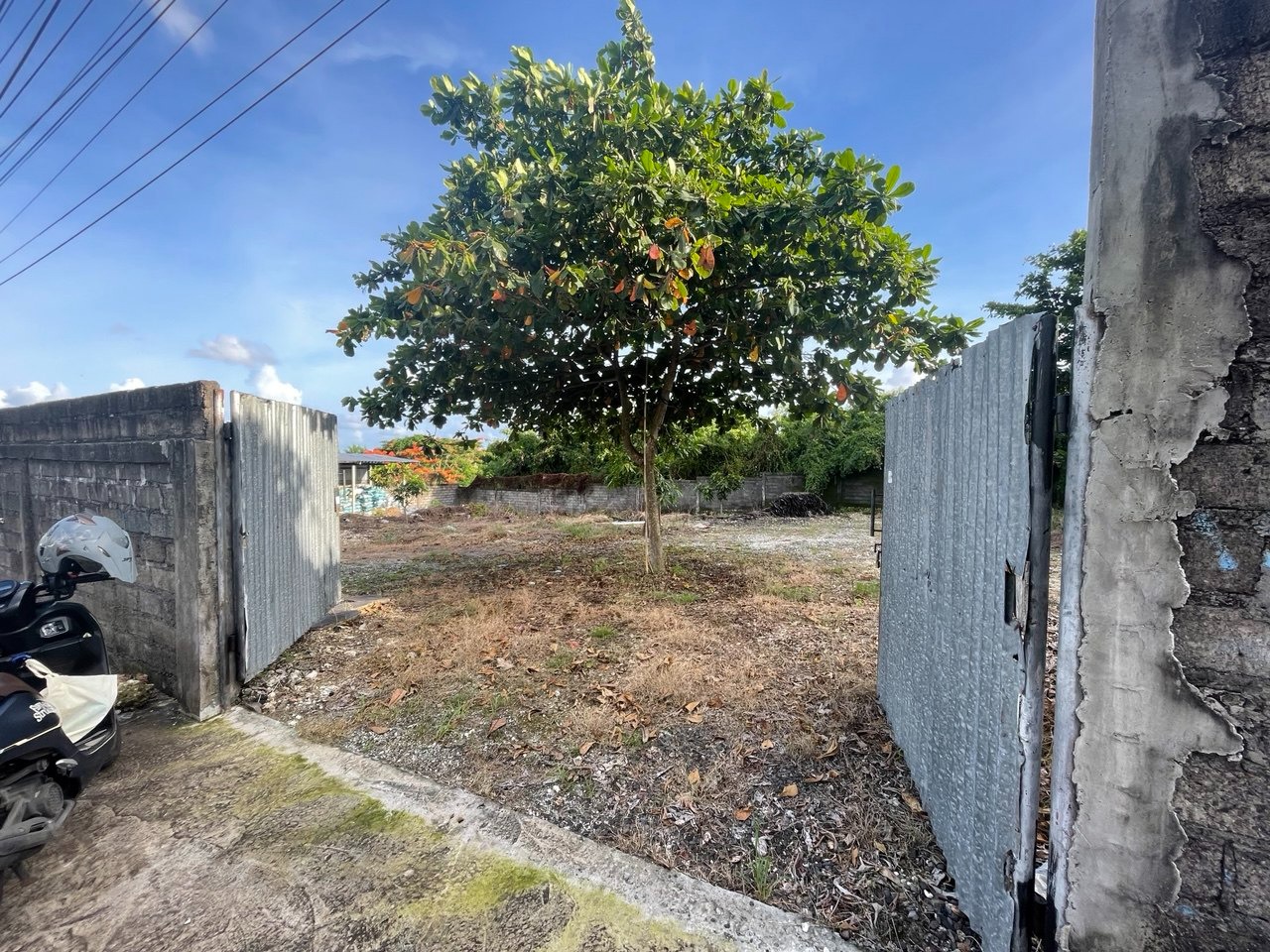 WhatsApp Image 2026 04 26 at 15.36.47