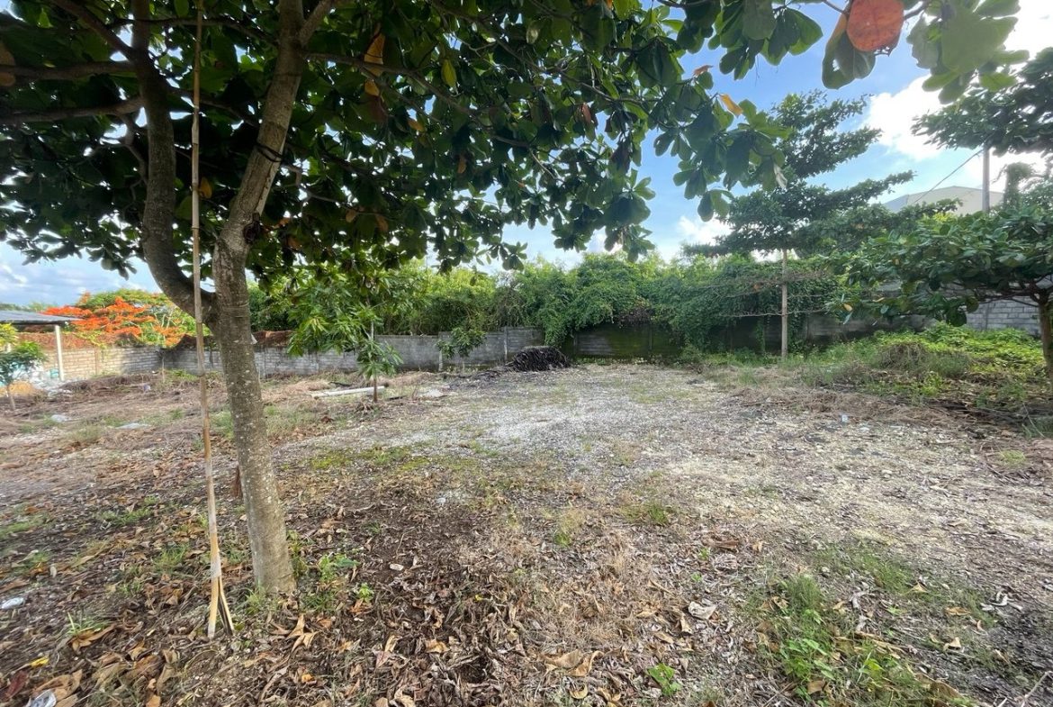 WhatsApp Image 2026 04 26 at 15.36.48