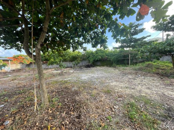 WhatsApp Image 2026 04 26 at 15.36.48