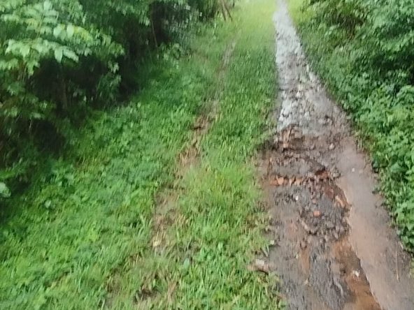 WhatsApp Image 2026 04 27 at 16.39.15 (1)