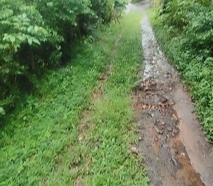 WhatsApp Image 2026 04 27 at 16.39.15 (1)