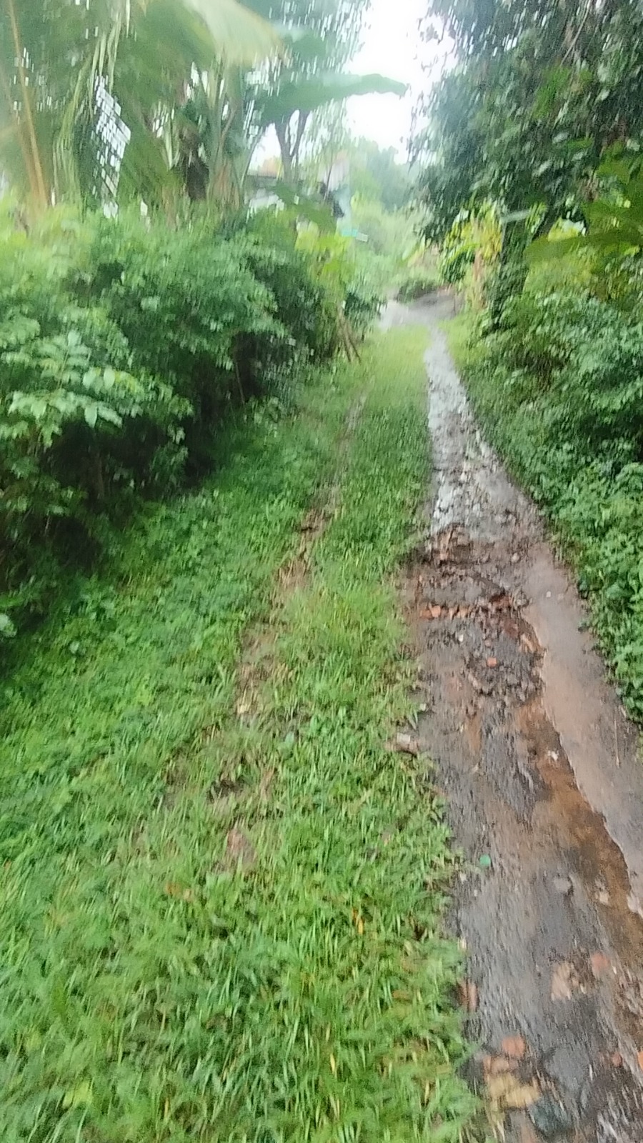 WhatsApp Image 2026 04 27 at 16.39.15 (1)