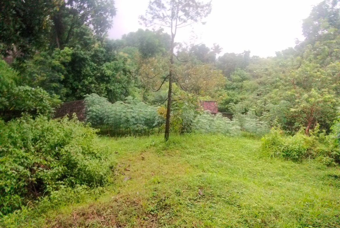 WhatsApp Image 2026 04 27 at 16.39.15